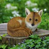 Design Toscano Diablo The Baby Red Fox Statue - 2 of 4