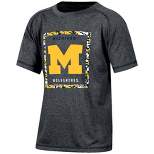 NCAA Michigan Wolverines Boys' Gray Poly Pixel T-Shirt