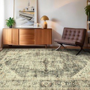 Acekool Washable Printed Area Rug, Non Slip Low Pile Vintage Boho Carpet for Living Room Bedroom Dining Room, Soft Easy Care - 1 of 4