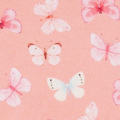 pink and blue butterflies on old