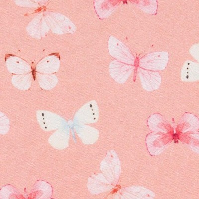 pink and blue butterflies on old