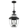Livex Lighting Monterey 2 - Light Pendant in  Black - 2 of 4