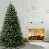 Prelit Downswept Douglas Blue Fir Artificial Christmas Tree Clear Lights - National Tree Company - 2 of 3