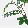 Moringa Artificial Tree Green - Threshold™ designed with Studio McGee - image 3 of 4