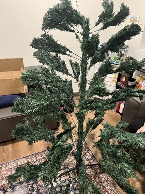 Guest review image 4 of 4, zoom in