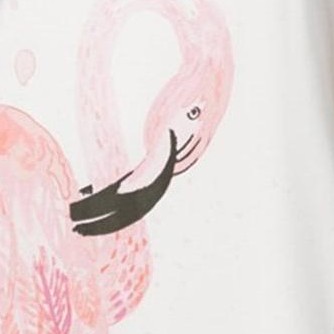 off-white-flamingosplash
