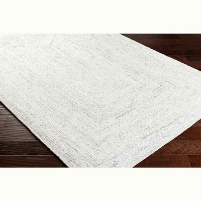 Ivory Handmade Braided Rectangular Stain-resistant Area Rug 2' x 3'