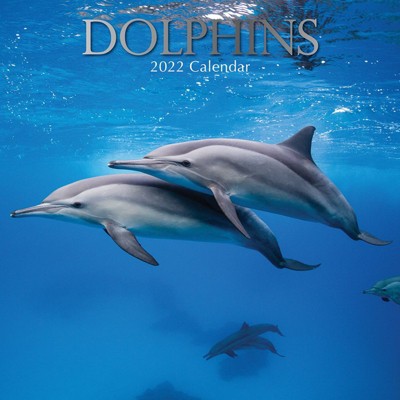 The Gifted Stationery 2021 - 2022 Monthly Wall Calendar, 16 Month, Dolphin Sea Animals Theme with Reminder Stickers, 12 x 12 in