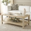 Apis Raffia Coffee Table - COF6612A - Natural - Safavieh - 2 of 4