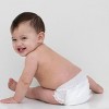 Andy Pandy Bamboo Training Pants - Size 3T - 22ct - 3 of 4