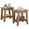 Set of 2 End Tables, Rustic Brown Side Tables with 2-Tier Storage Shelf, Square Nightstands for Entryway, Living Room, Bedroom, Farmhouse Style - 2 of 4