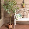 Sullivans Artificial 65" Tall Potted Eucalyptus Tree - 2 of 4