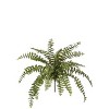 Sullivans Artificial Boston Fern Bush 16"H Green - 2 of 3