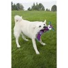 Pet Life Animated Extra Long Nylon Squeaker Water-resistant Plush Dog Toy - 2 of 2