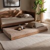 Twin Veles Trundle Bed Ash Walnut - Baxton Studio: Rubberwood Frame, No Box Spring Needed - 4 of 4