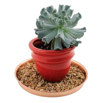 Set of 2 Round Copper-Plated Stainless Steel Trays