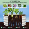 ODK Raised Garden Beds Outdoor, 2 Pack Galvanized Raised Garden Bed for Gardening, Round Metal Planter Box for Planting Plants Vegetables and Flower - 3 of 4