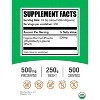 BulkSupplements Organic Bamboo Powder - 2 of 4