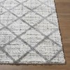 Hauteloom Anuhea Living Room, Bedroom Area Rug - Bohemian, Transitional - High Pile - 2 of 4