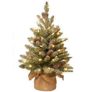 2' Prelit Flocked Concolor Fir Artificial Christmas Tree Warm White Lights - National Tree Company - 1 of 4