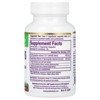 Paradise Herbs Andrographis, 60 Vegetarian Capsules - 2 of 3