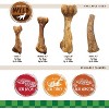 Nylabone Healthy Edibles Edible Antler Real Venison Flavor Dog Chew Treat - 4 of 4