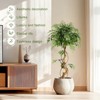 Whizmax 4/5/6ft Ficus Artificial Trees, Lifelike Faux Tree, Green Lush Fake Ficus Tree Artificial Plants for Living Room Indoor Outdoor Modern Decor - 2 of 4