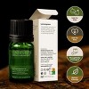 Gya Labs USDA Certified Organic Lemongrass Essential Oil for Diffuser - 100% Pure Natural Organic Lemongrass Oil for Skin (0.34 Fl Oz) - 2 of 4