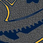 nashville predators