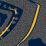 nashville predators