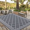 Outdoor Rug Modern Carpet Waterproof Plastic Straw Rug UV-Resistant Reversible Mat for Camping RV Porch Deck Balcony Beach - 2 of 4