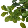 5FT Faux Black Olive Tree, Fake Olive Tree Artificial Tree with Lights - 4 of 4