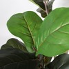 KTMBDW 6FT Fiddle Leaf Fig Tree Artificial Plant in Black Decorative Pot, Large Indoor Houseplant, Perfect for Home, Room, or Office Decor - 3 of 4