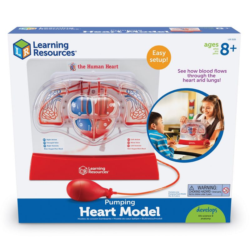 Learning Resources Pumping Heart Model, Science Model, Ages 8+, 4 of 5