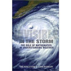 Invisible in the Storm - by  Ian Roulstone & John Norbury (Hardcover) - 1 of 1