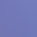 jacaranda