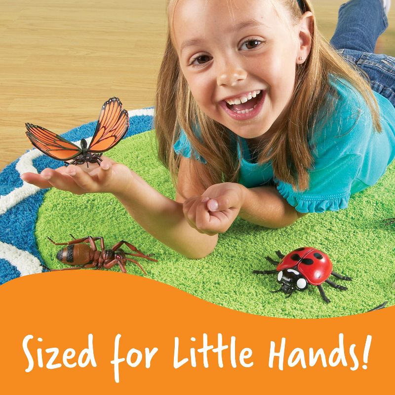 Learning Resources Jumbo Insects, Fly, Ant, Bee, Ladybug, Grasshopper, Butterfly, and Dragonfly, 7 Insects, 3 of 7