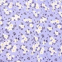 purple white flowers