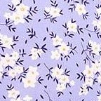 purple white flowers