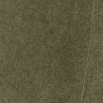 dark olive green