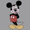 Boy's Disney Mickey Mouse Classic Cartoon Smile Pull Over Hoodie - 2 of 4