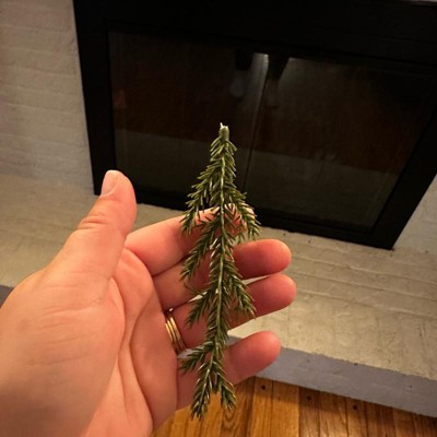 Guest review image 1 of 3, zoom in