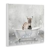 Stupell Industries Baby Zebra Bath Time, 12" x 12" - 3 of 4