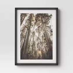 18" x 24" Yosemite Trees PS Framed Under Plexiglass Prints Black - Threshold™
