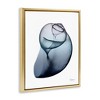 Stupell Industries Contemporary Snail Shell, 25" x 31" - 3 of 4