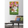 Trends International Keith Kimberlin - Maine Coon Kitten Unframed Wall Poster Prints - 2 of 4