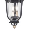 Minka Lavery Vintage Outdoor Hanging Light Fixture Sand Coal Damp Rated 20" Clear Seedy Glass for Post Exterior Barn Porch Patio - 3 of 3