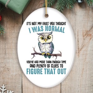 You Thought I was Normal Quirky Owl Ornament, Cute and Funny Christmas Gift| OrnamentallyYou - 1 of 4