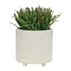 Okak Vintage Ceramic Flower Pot with Drainage Holes & Wood Base Rustic Planter for Indoor/Outdoor, Gardening Gift, 2 Pack(S+M), 6 Colors - 4 of 4