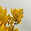 Alilang Decorative Dried Leafy Branches for Modern Home Decoration and Floral Arrangements, 15.5 Inches - 3 of 3